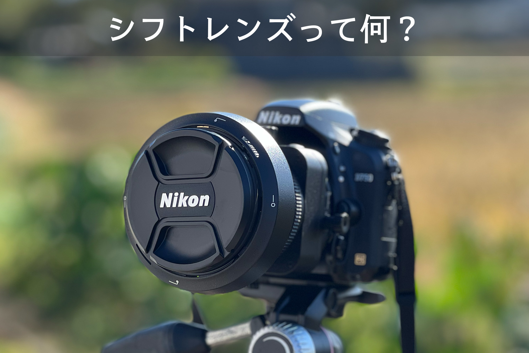 建築写真に必須のティルトシフトレンズとは？